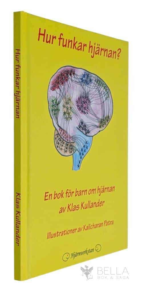 Kullander, Klas ; Patra, Kalicharan : Hur funkar hjärnan?