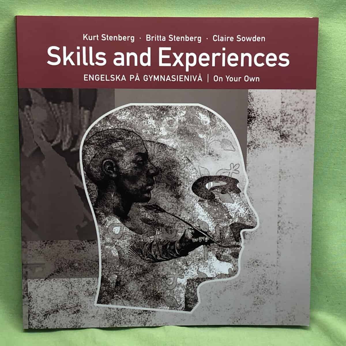 Kurt Stenberg : Skills and experiences