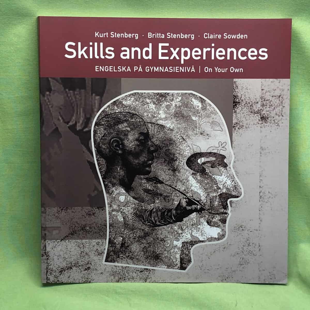 Kurt Stenberg : Skills and experiences