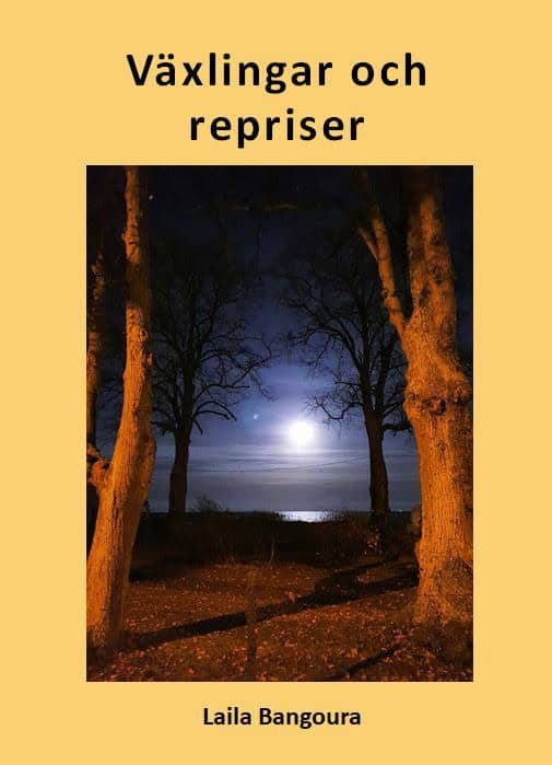 Laila Bangoura : Växlingar och repriser