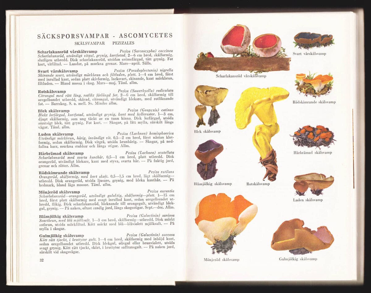 Lange, Morten ; Jakob E. Lange : Svampflora