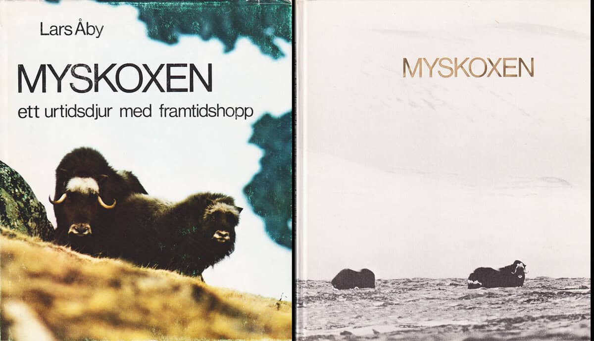 Lars Åby : Myskoxen