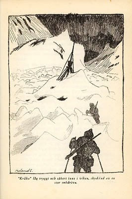 Lars Hansen : De fem ishavsgastarna