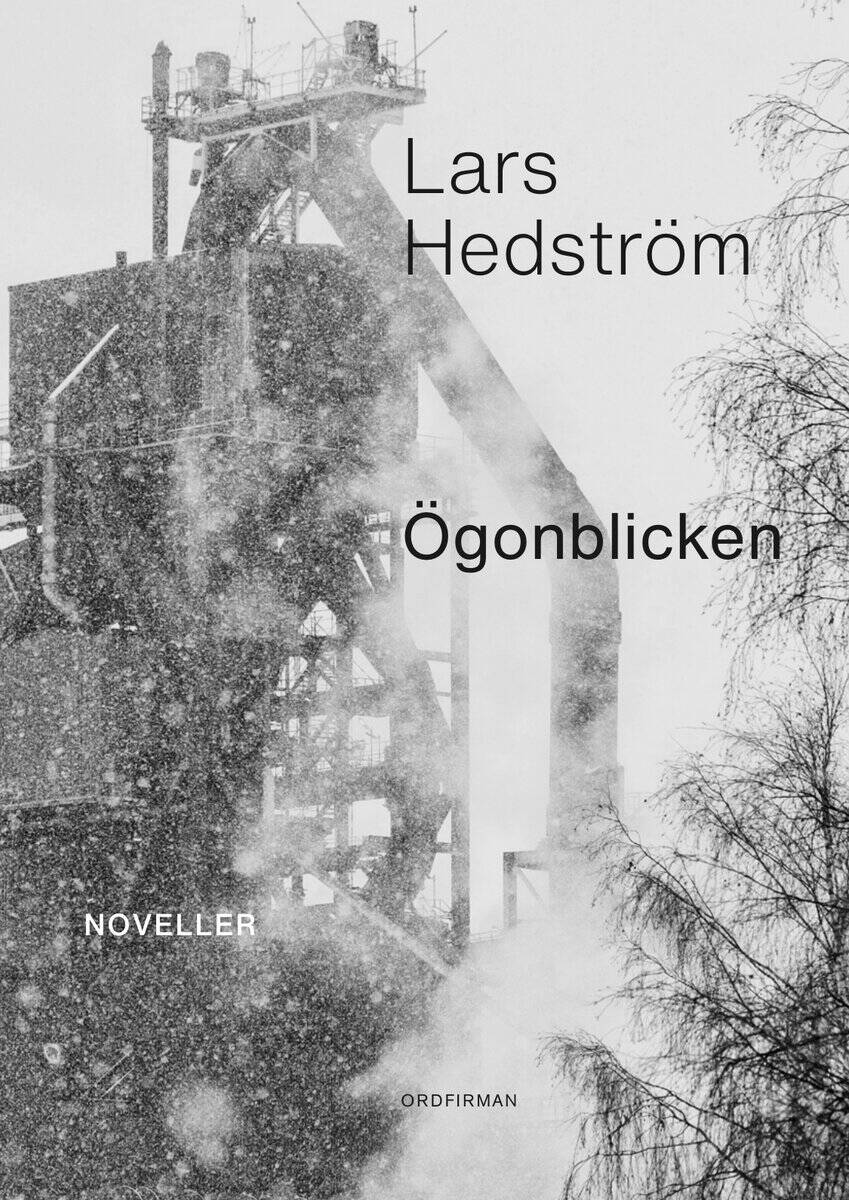 Lars Hedström : Ögonblicken
