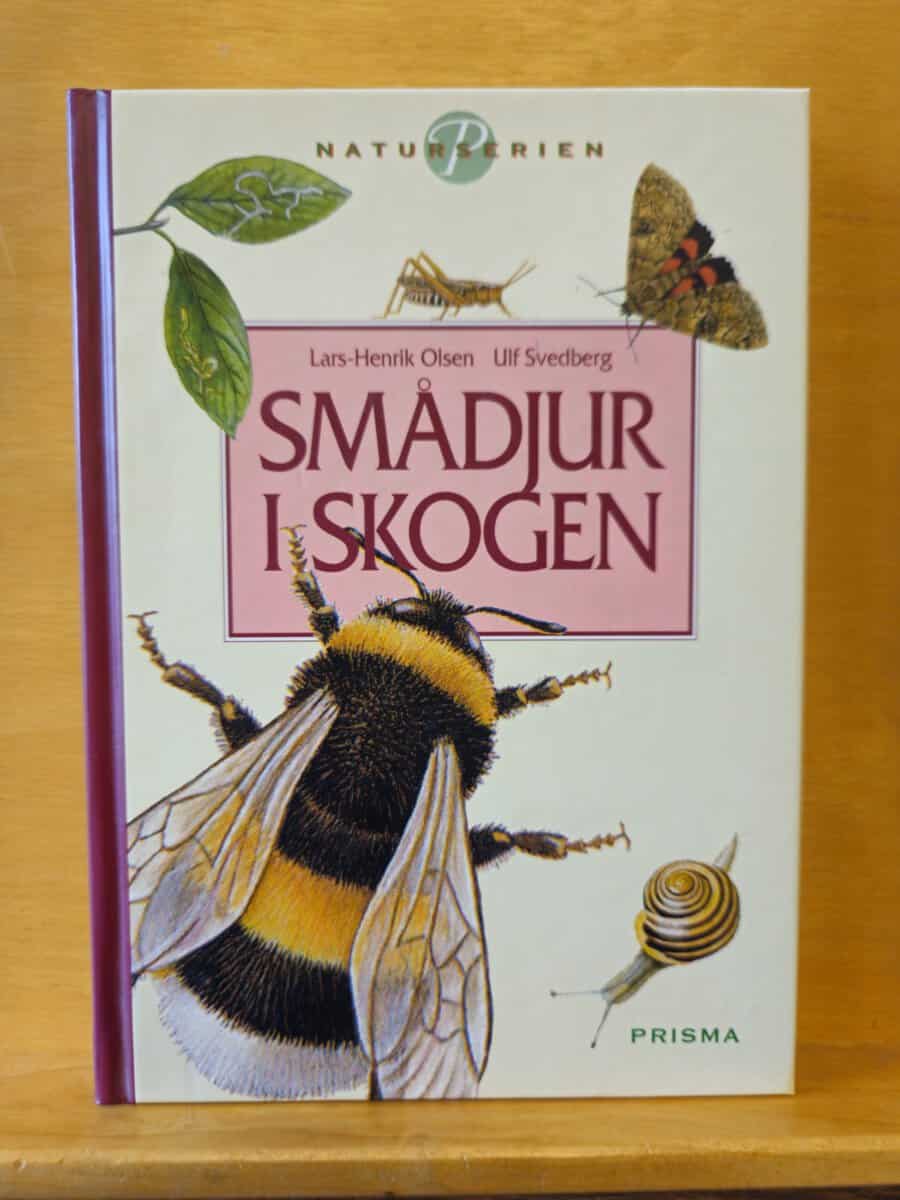 Lars-Henrik Olsen : Smådjur i skogen
