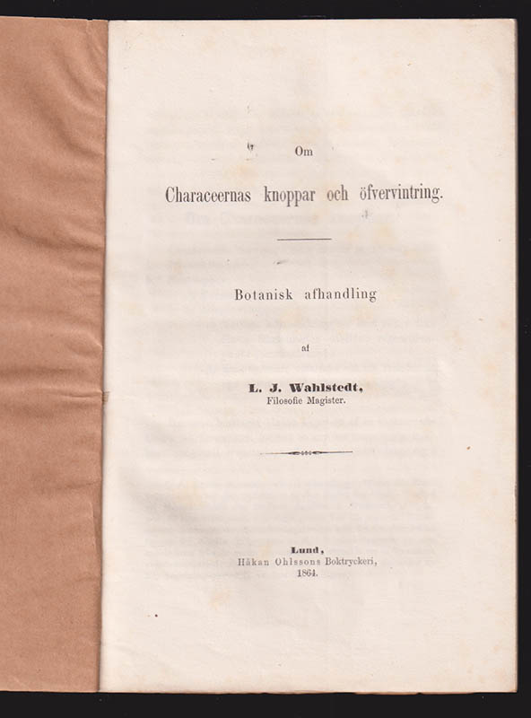 Lars Johan Wahlstedt : Om Characeernas knoppar och öfvervintring. Botanisk afhandling