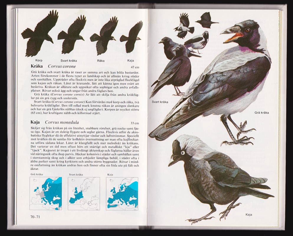 Lars Jonsson : Fåglar i naturen. Del 1. Skog, park, trädgård