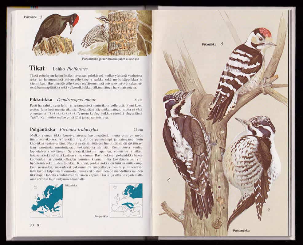 Lars Jonsson : Linnut luonnossa. Tunturit ja havumetsä (Fåglar i naturen. Fjäll och barrskog)