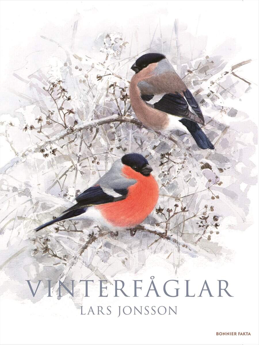 Lars Jonsson : Vinterfåglar