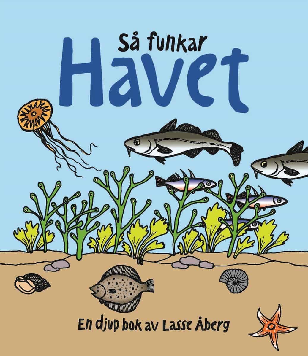 Lasse Åberg : Så funkar havet