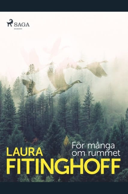 Laura Fitinghoff : För många om rummet