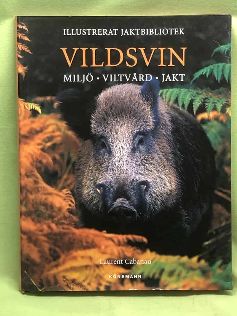 Laurent Cabanau : Vildsvin