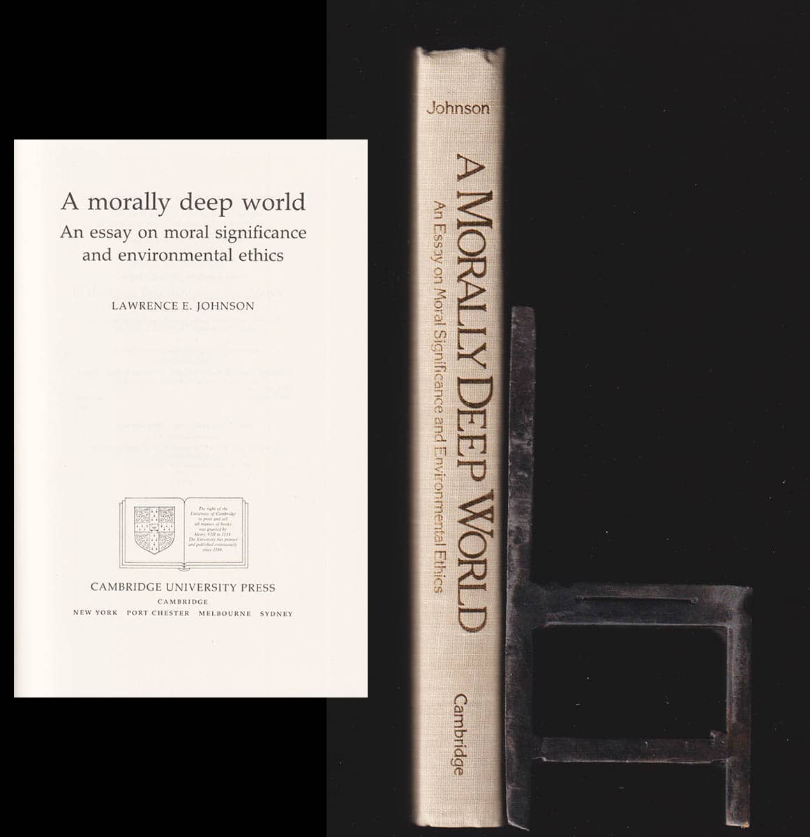 Lawrence E Johnson : A morally deep world