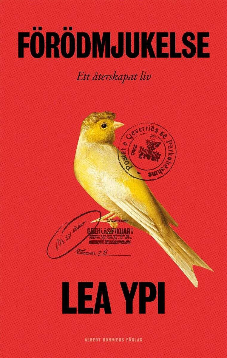 Lea Ypi : Förödmjukelse : ett återskapat liv