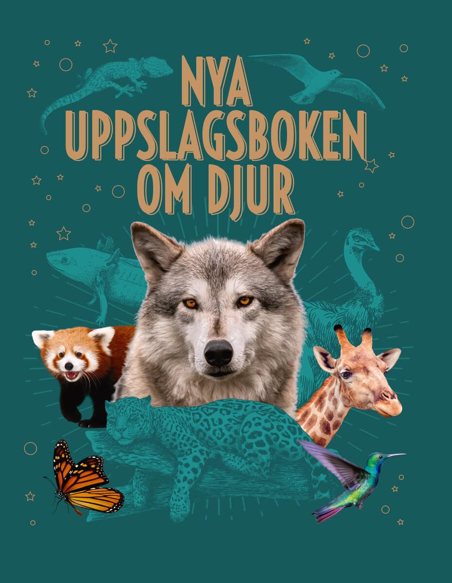 Leach, Michael ; Lland, Meriel ; Martin, Claudia ; Philip, Claire ; Woolf, Alex : Nya uppslagsboken om djur