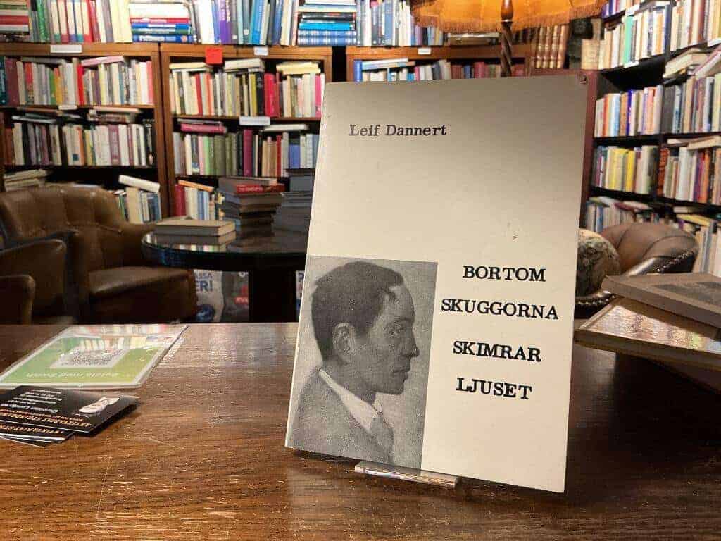 Leif Dannert : Bortom skuggorna skimrar ljuset