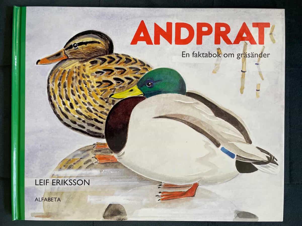 Leif Eriksson : Andprat