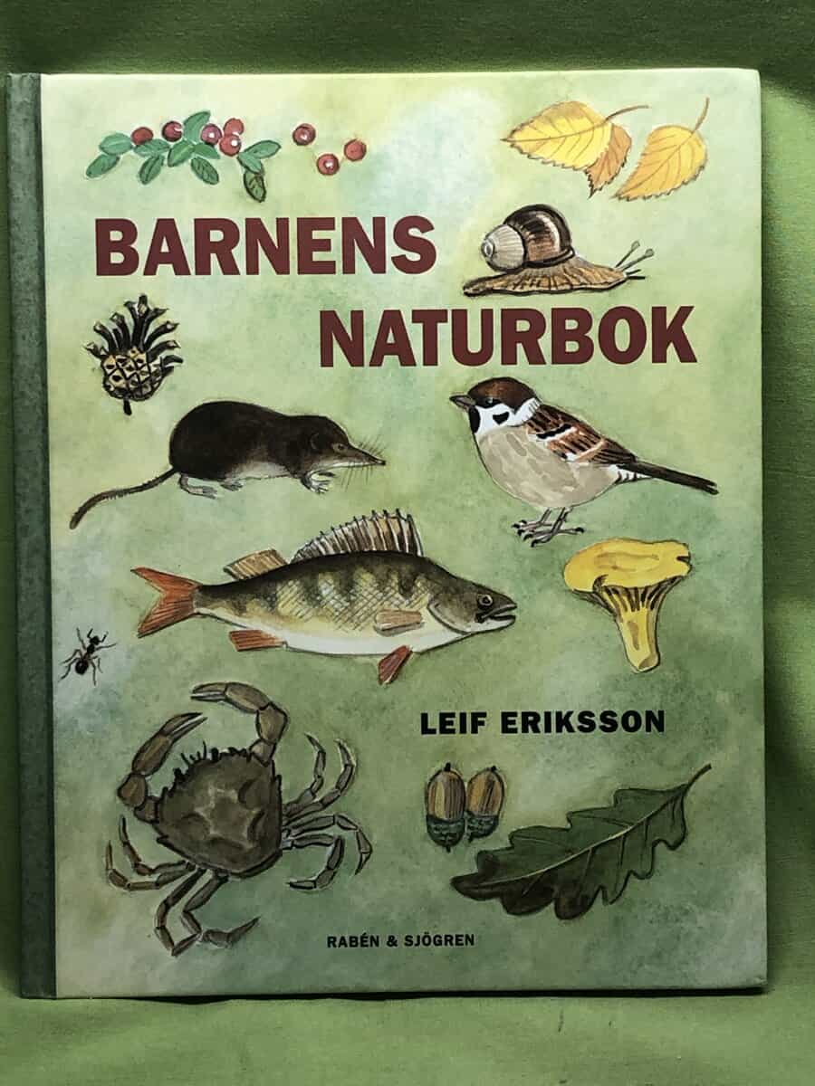 Leif Eriksson : Barnens naturbok