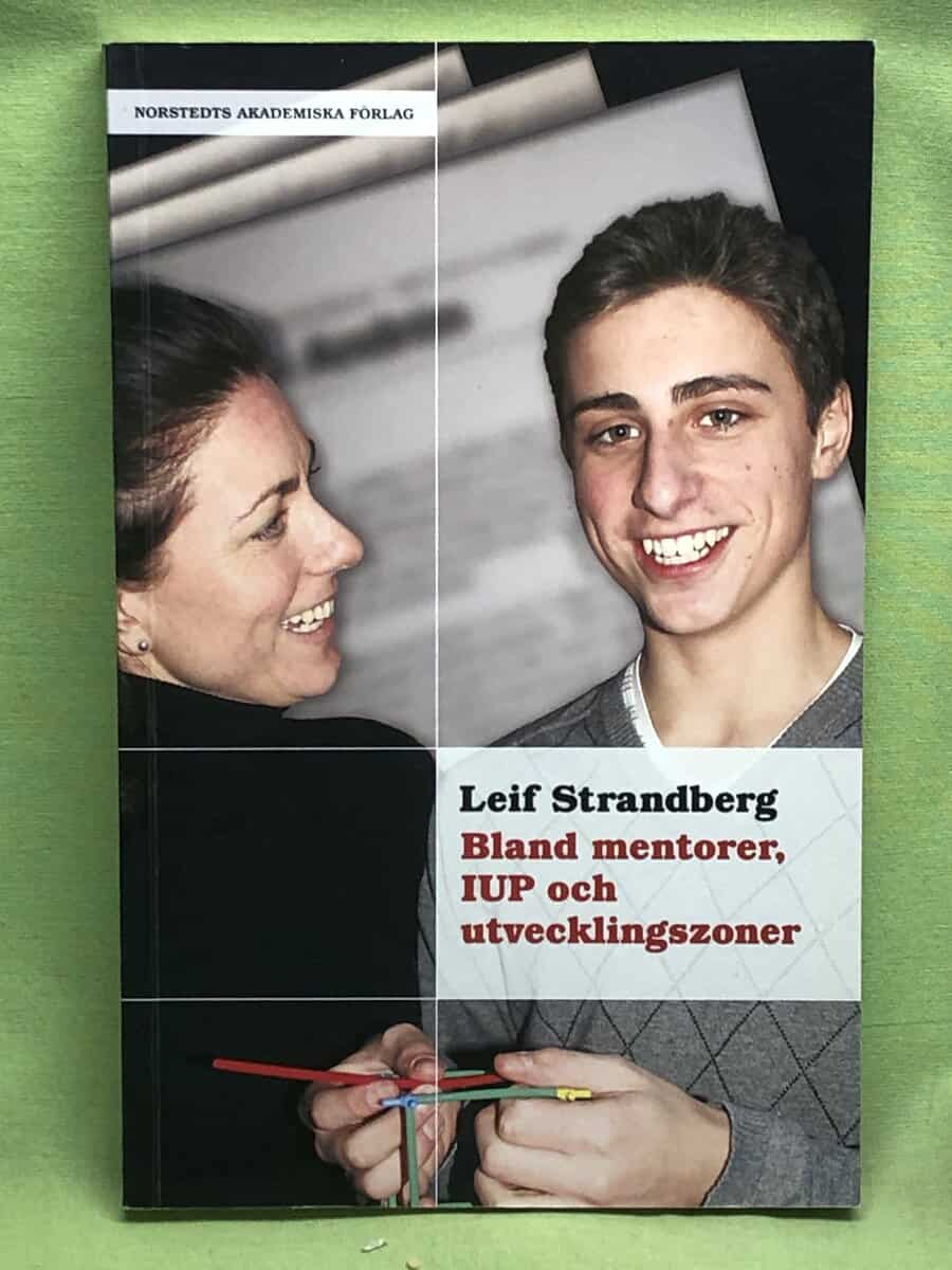 Leif Strandberg : Bland mentorer, IUP och utvecklingszoner
