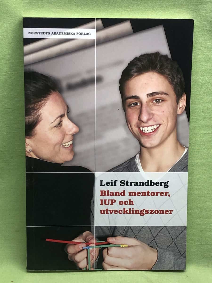 Leif Strandberg : Bland mentorer, IUP och utvecklingszoner