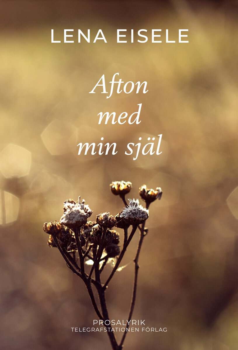 Lena Eisele : Afton med min själ