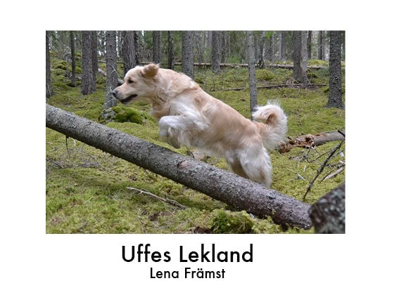Lena Främst : Uffes lekland