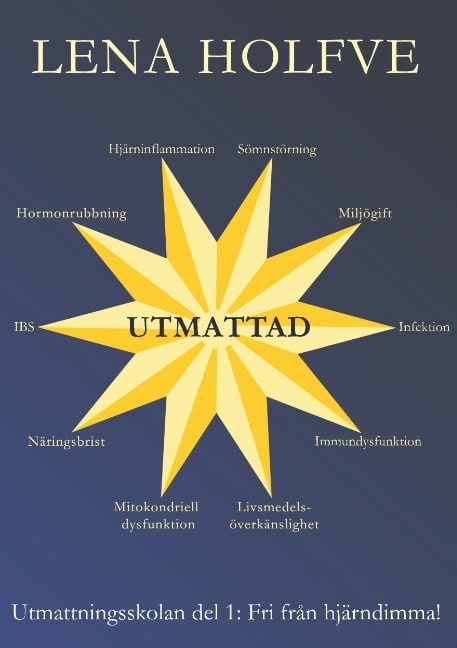 Lena Holfve : Utmattad : fri från hjärndimma