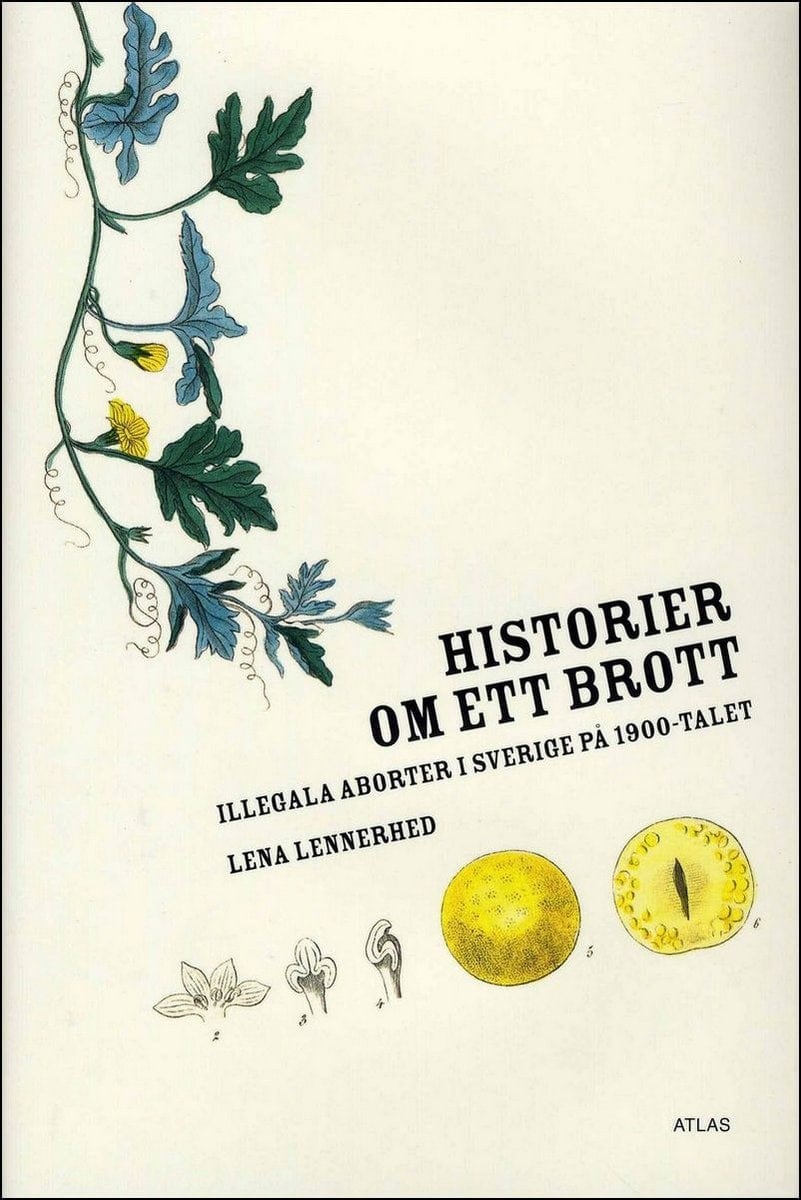 Lena Lennerhed : Historier om ett brott