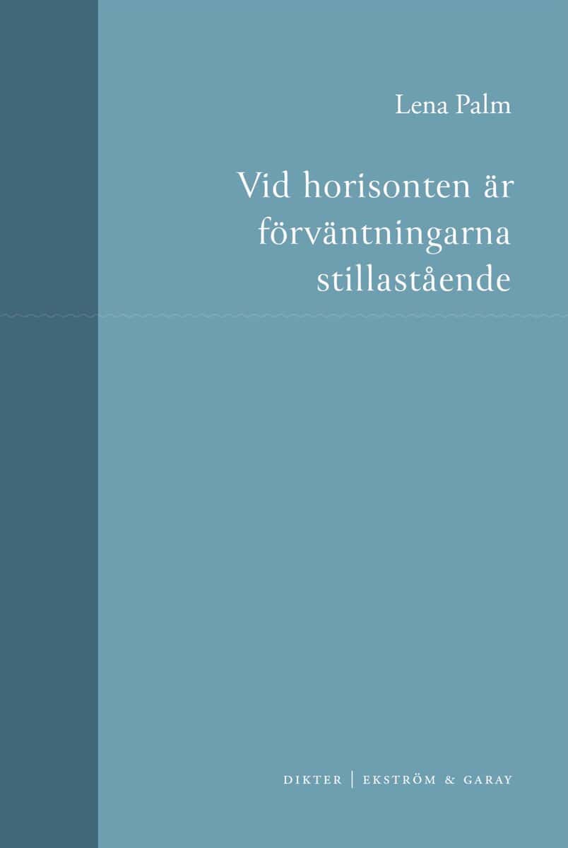 Lena Palm : Vid horisonten är förväntningarna stillastående