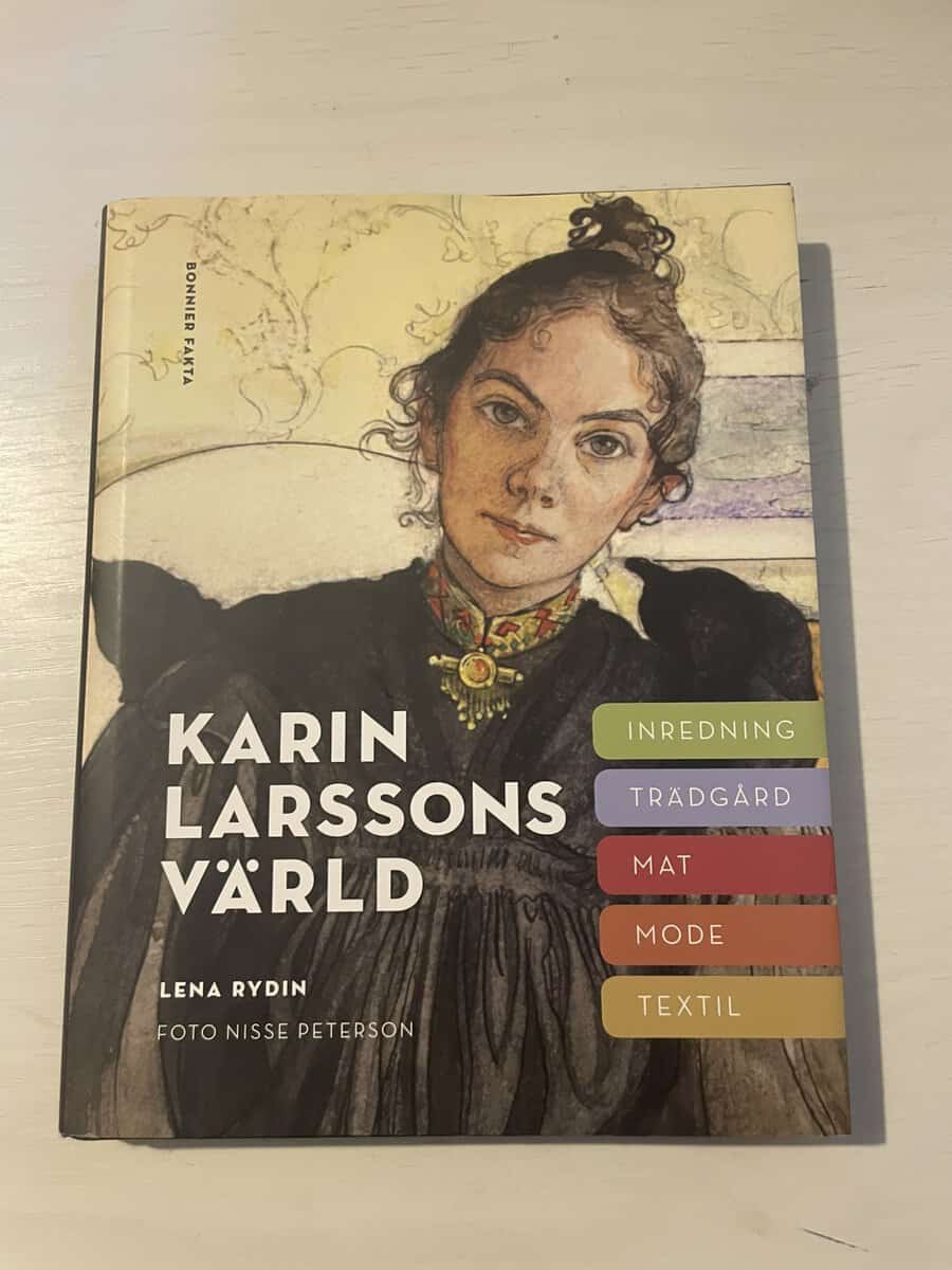 Lena Rydin : Karin Larssons värld
