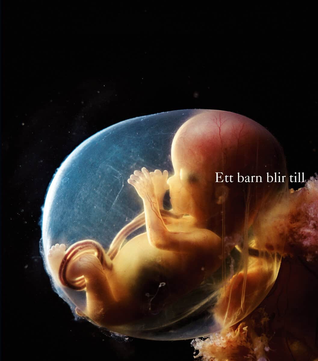 Lennart Nilsson : Ett barn blir till