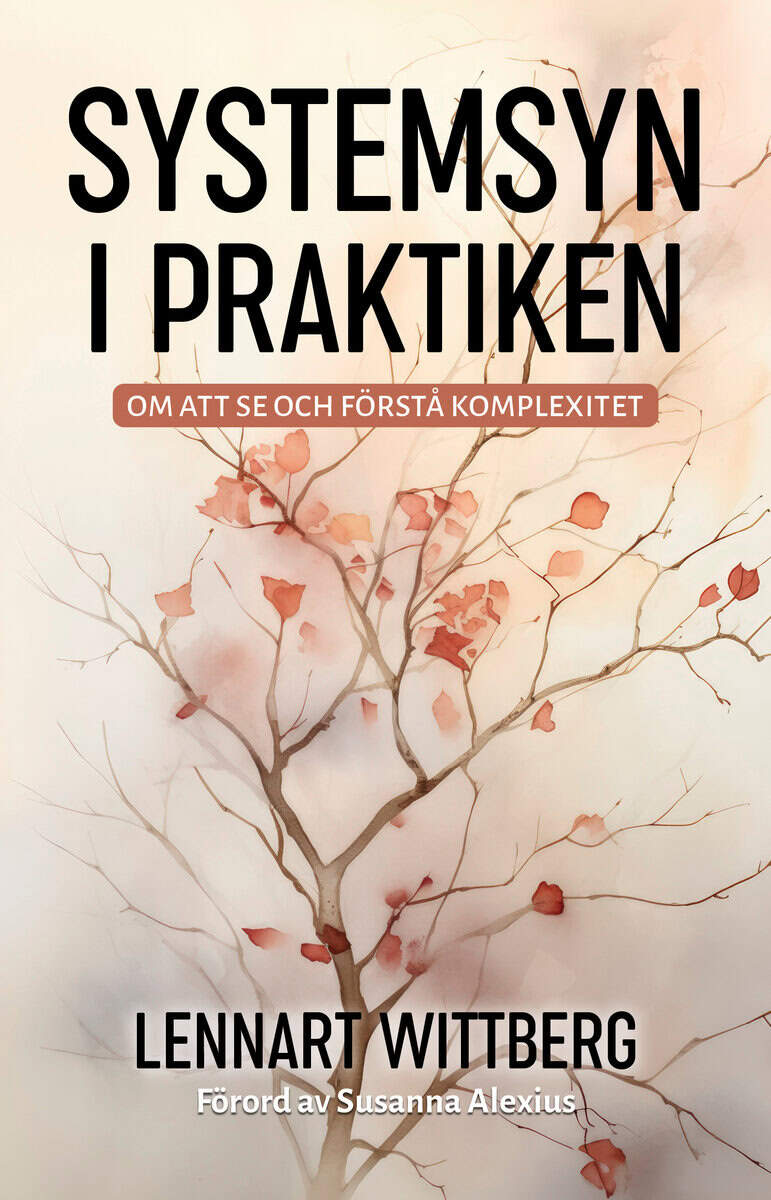 Lennart Wittberg : Systemsyn i praktiken