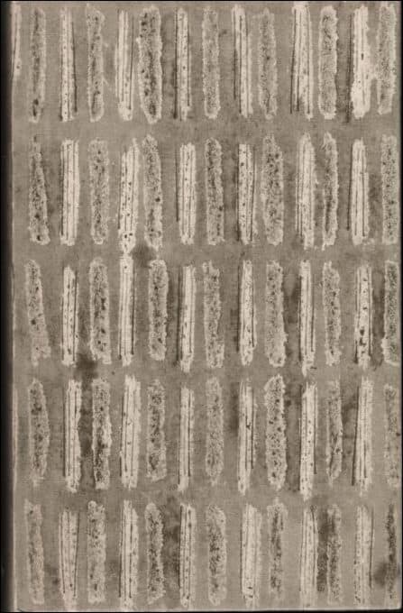 Leo Tolstoj : Från unga år