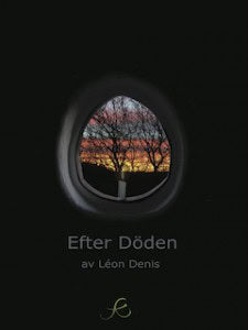 Léon Denis : Efter döden : en framställning av andarnas lära