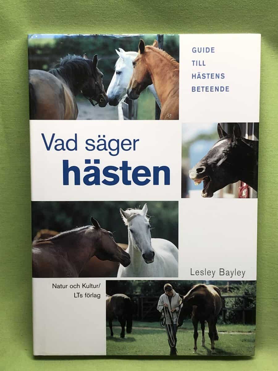 Lesley Bayley : Vad säger hästen