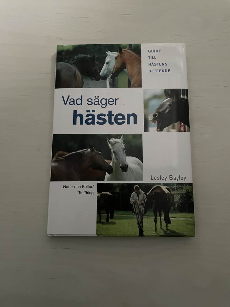 Lesley Bayley : Vad säger hästen