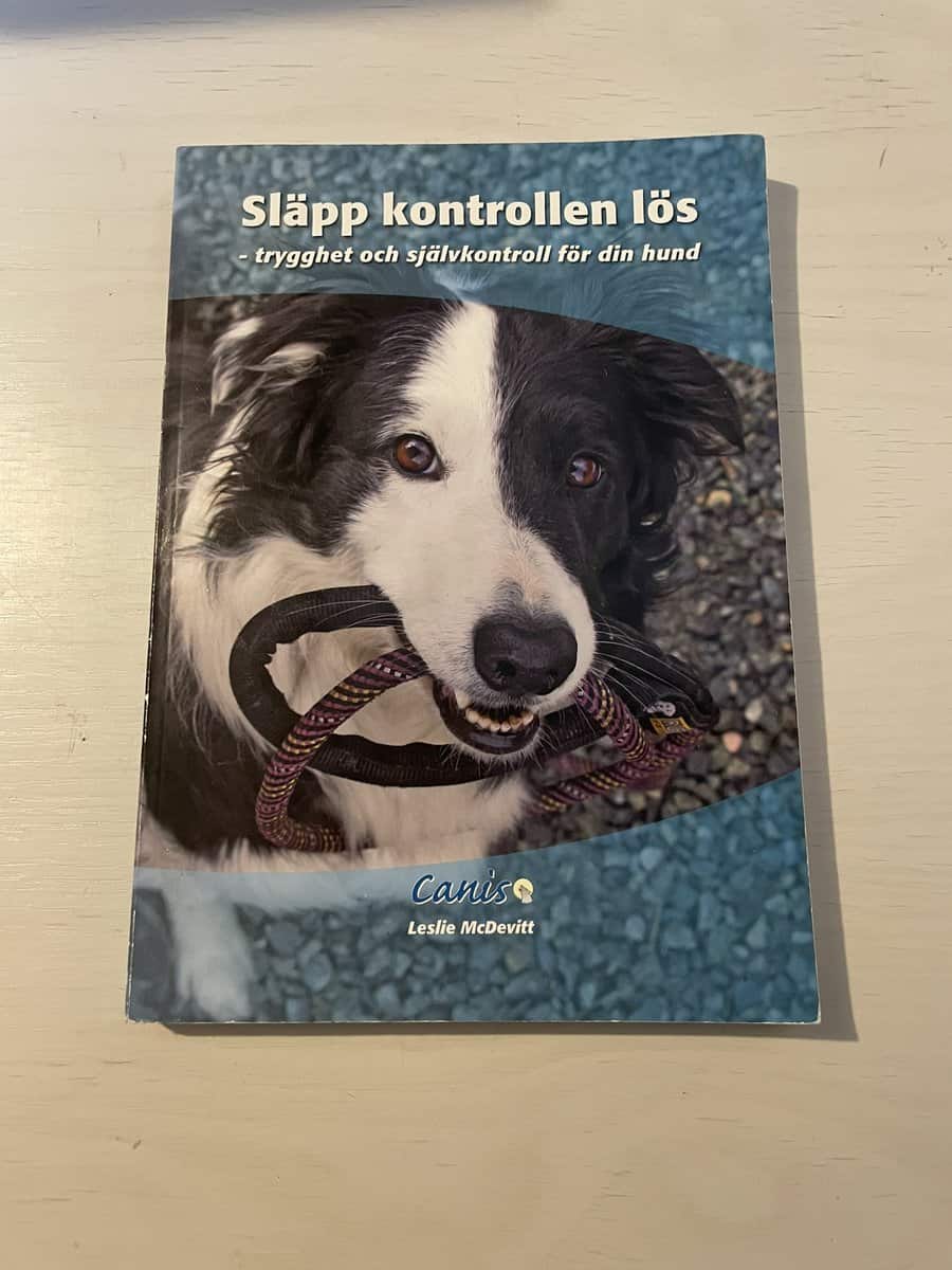Leslie McDevitt : Släpp kontrollen lös