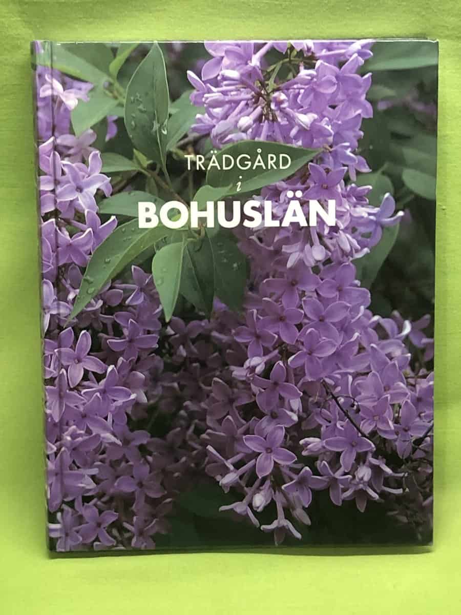 Lia Hills : Nybörjarguide till livet eller kaosteori