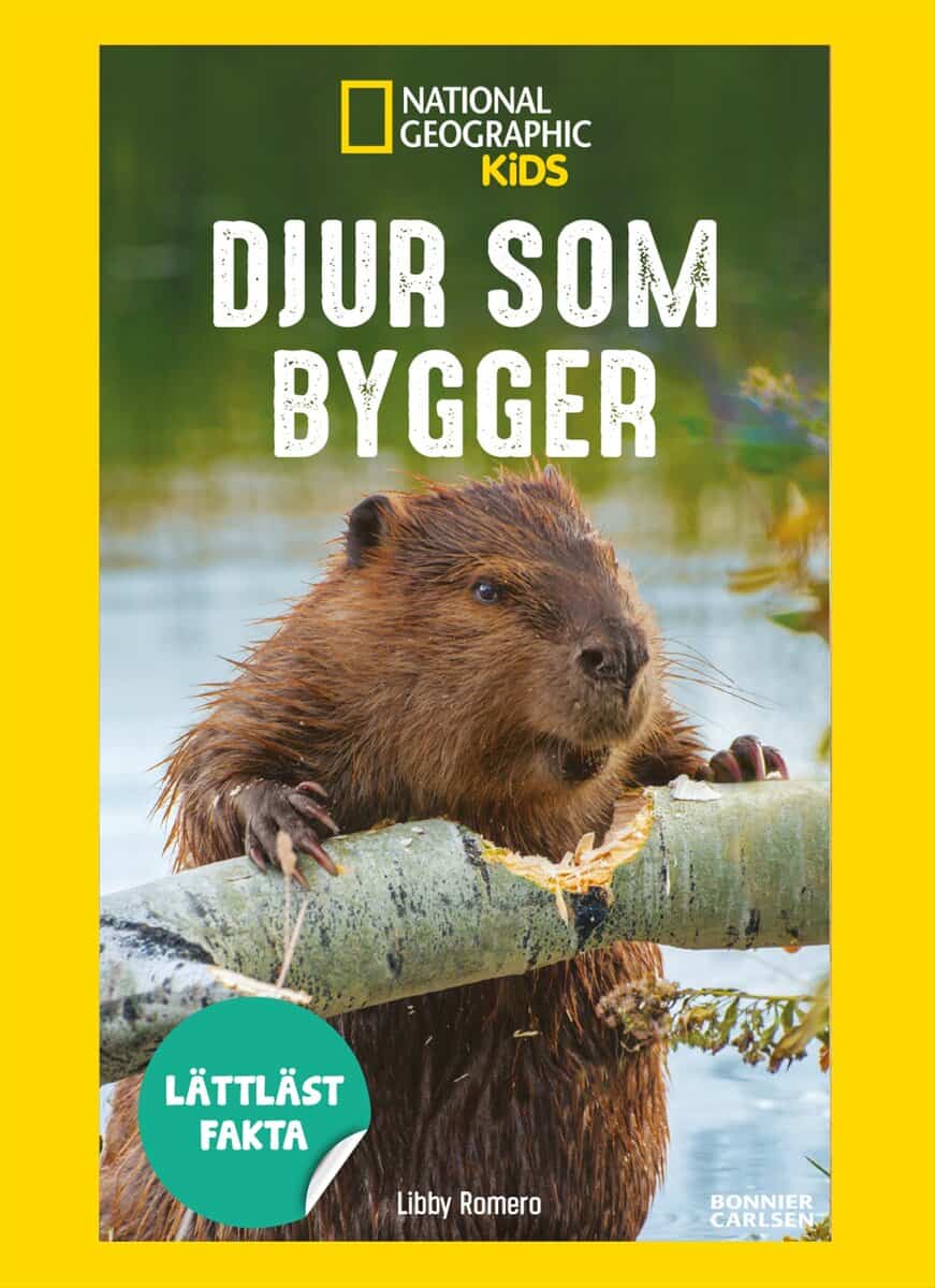 Libby Romero : Djur som bygger