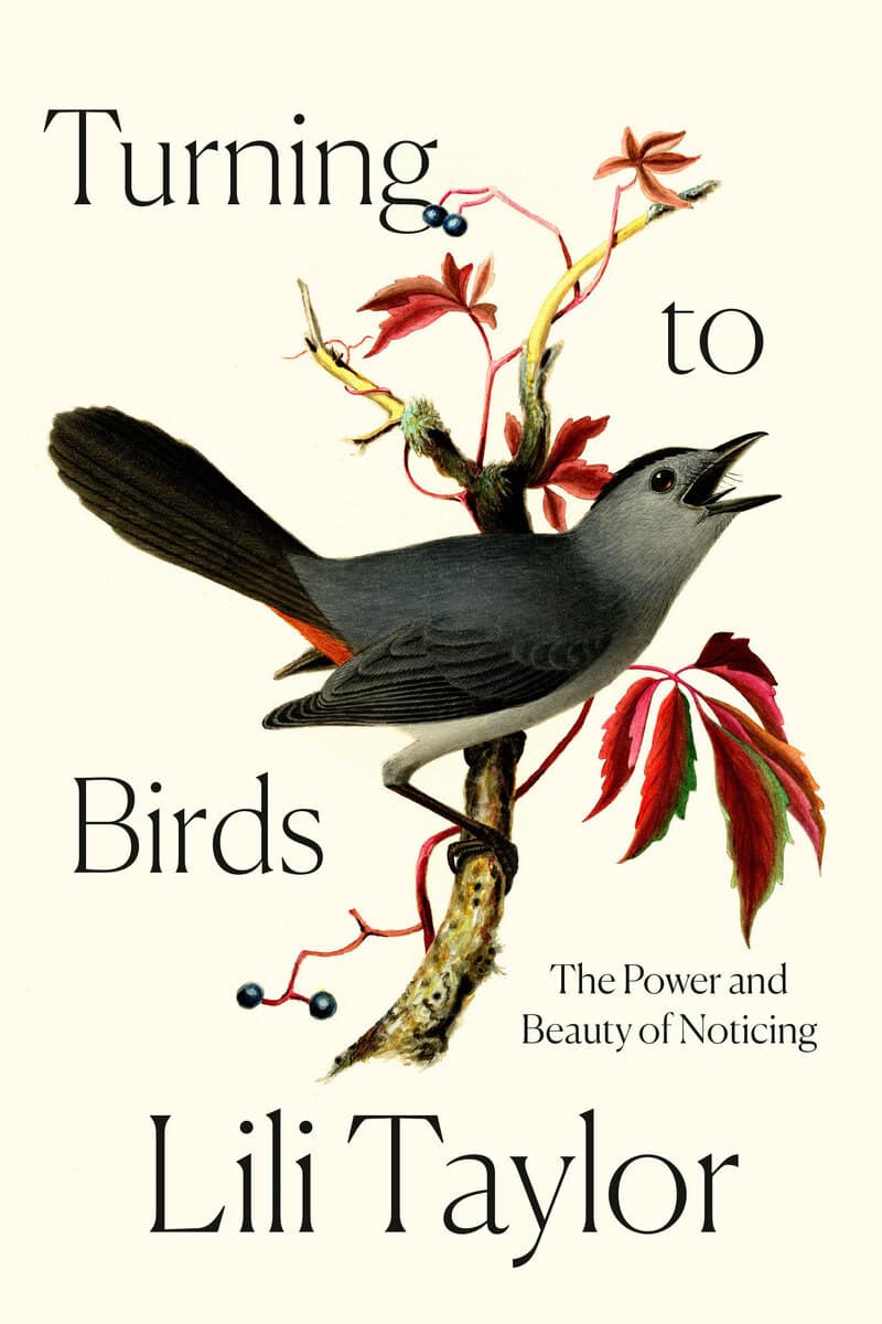 Lili Taylor : Turning to Birds
