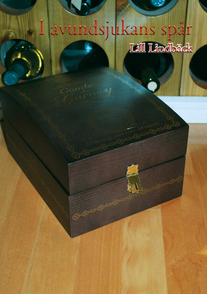 Lill Lindbäck : I avundsjukans spår
