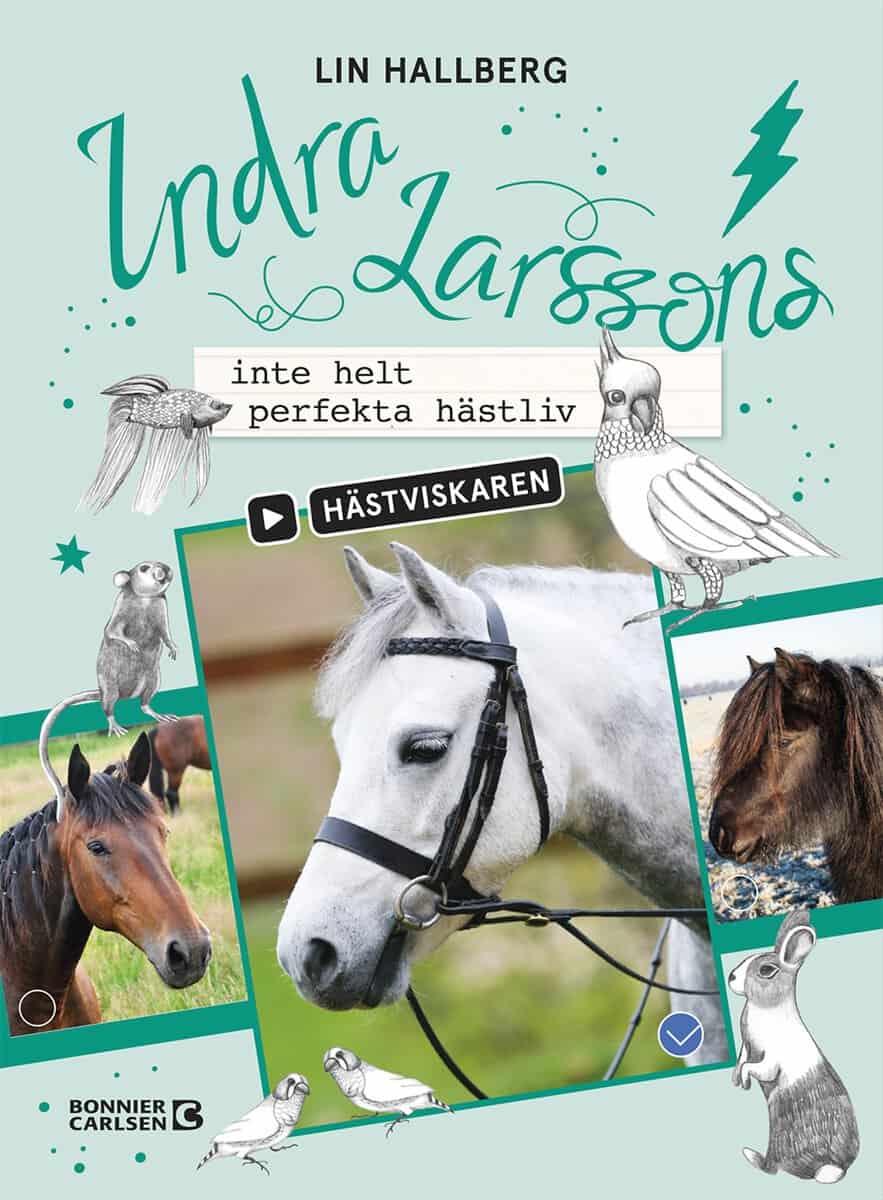 Lin Hallberg : Indra Larssons inte helt perfekta hästliv