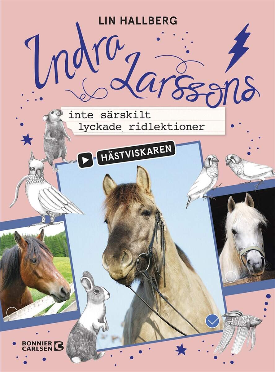 Lin Hallberg : Indra Larssons inte särskilt lyckade ridlektioner