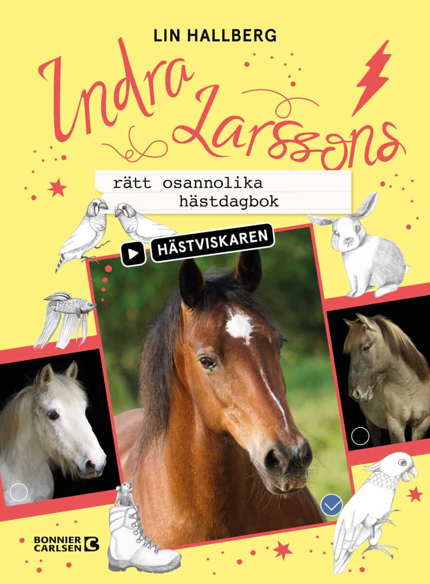 Lin Hallberg : Indra Larssons rätt osannolika hästdagbok