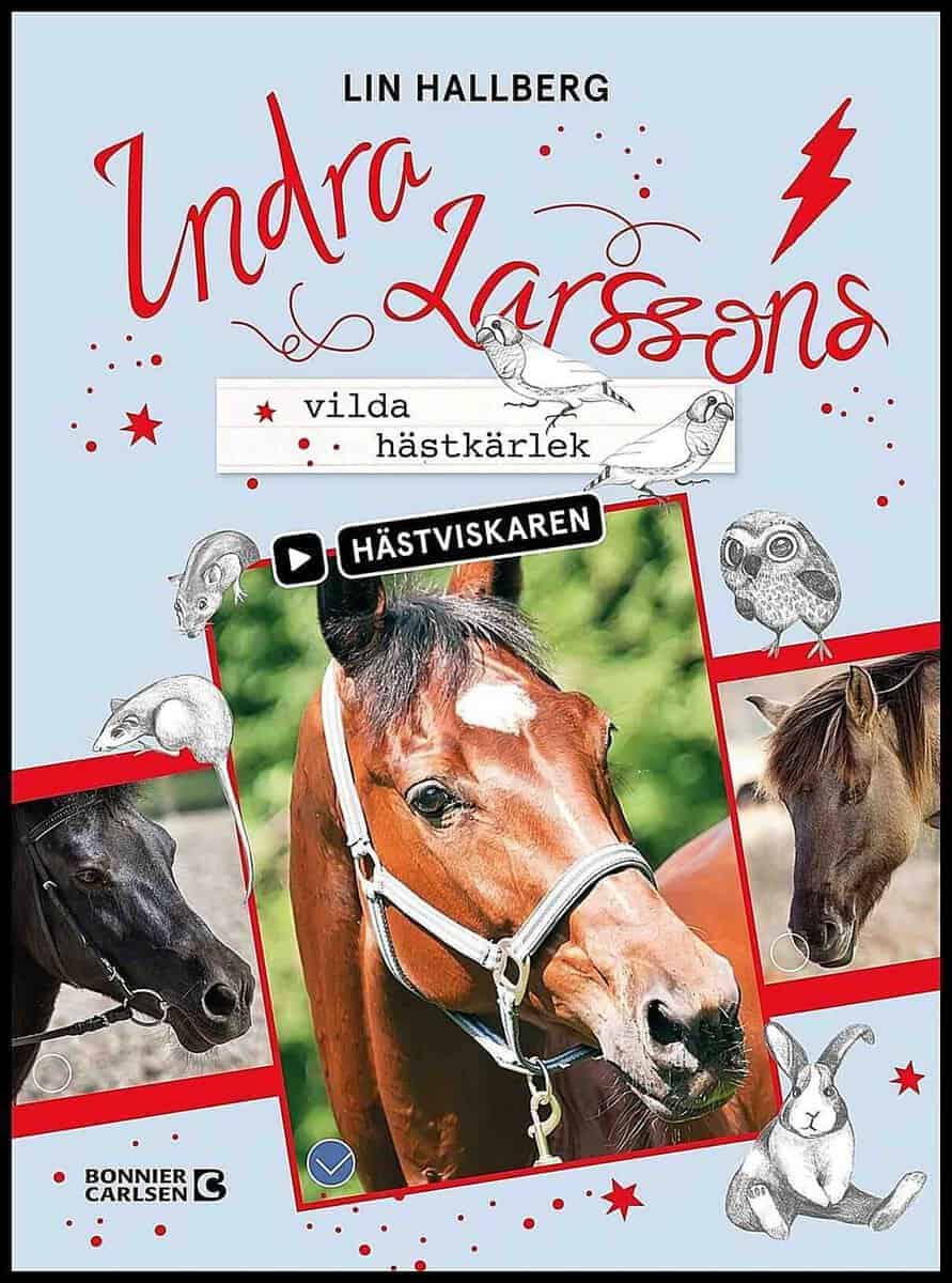 Lin Hallberg : Indra Larssons vilda hästkärlek