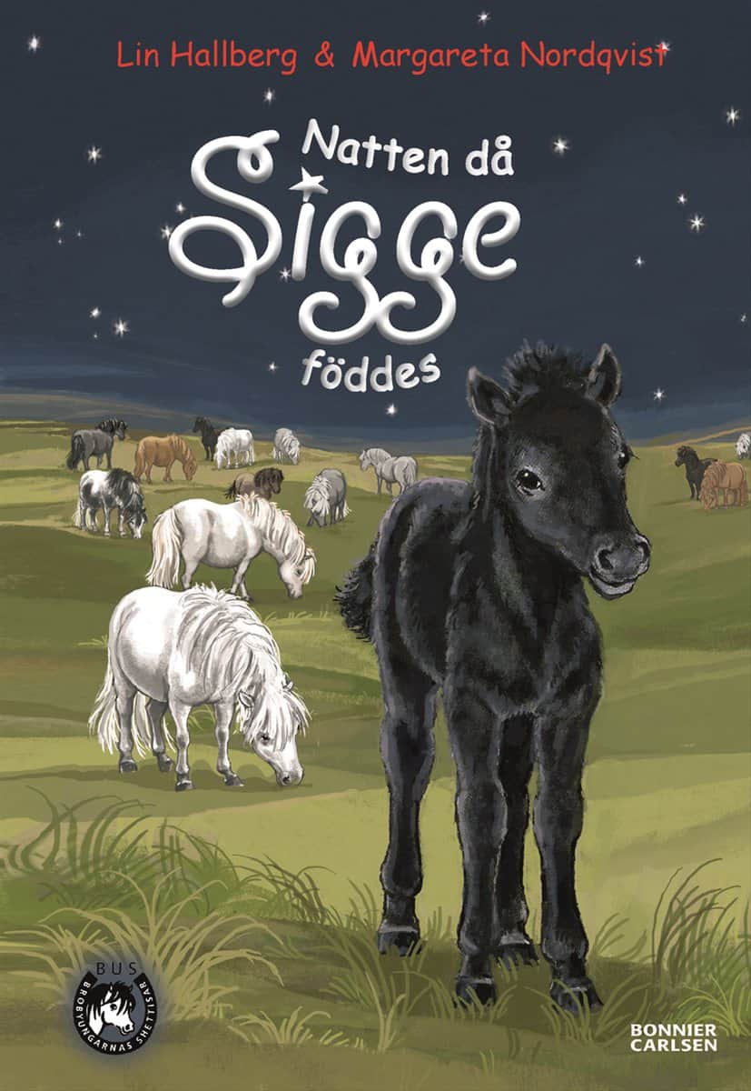 Lin Hallberg : Natten då Sigge föddes