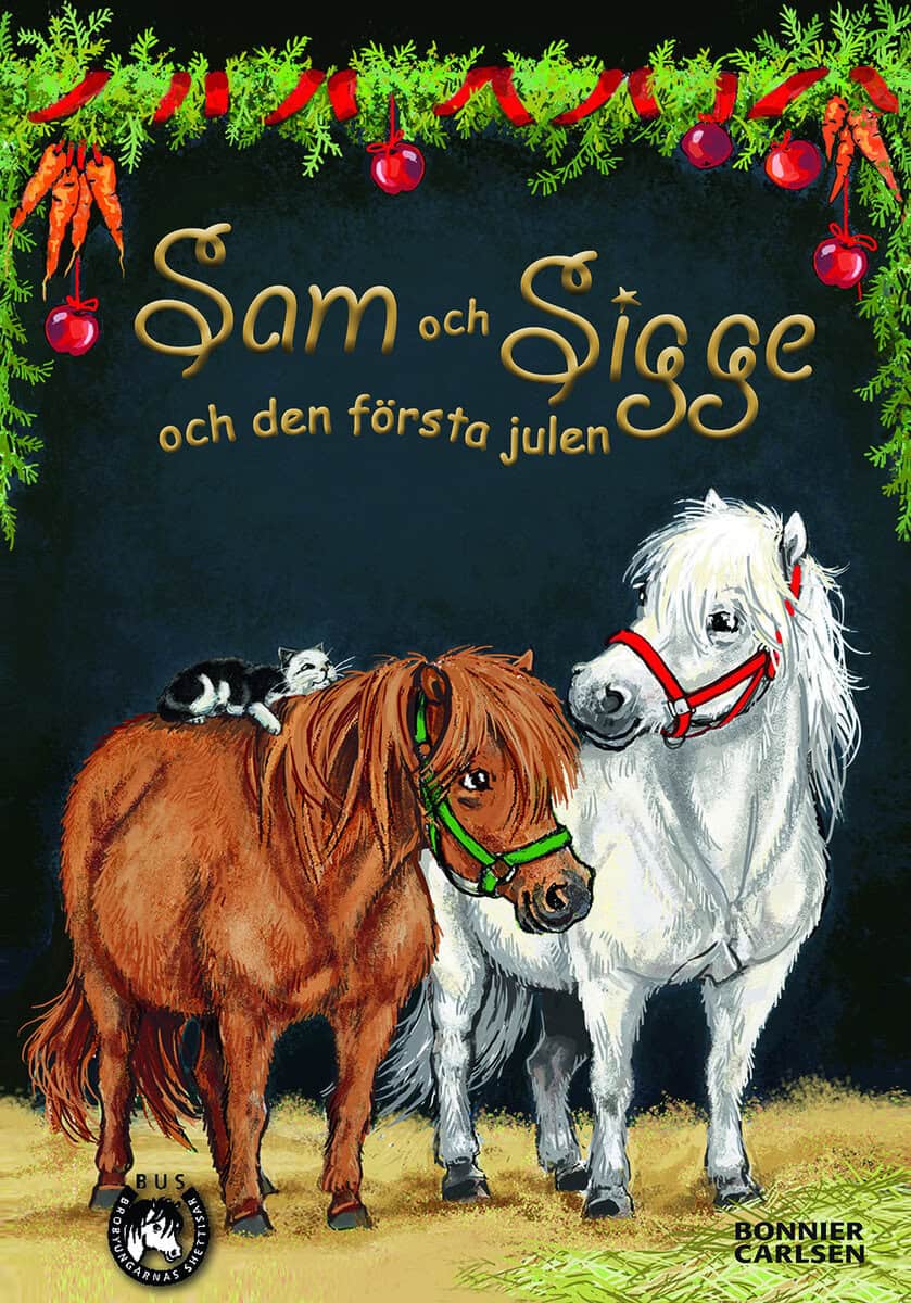 Lin Hallberg : Sam och Sigge och den första julen