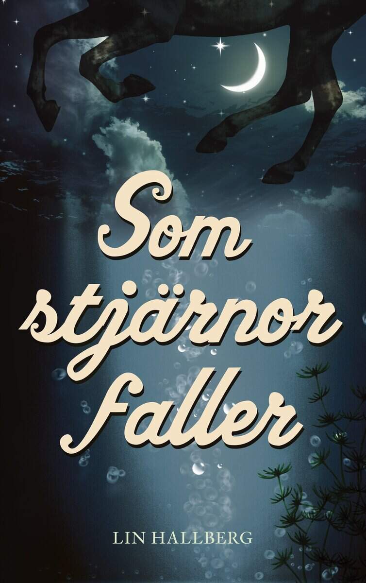 Lin Hallberg : Som stjärnor faller