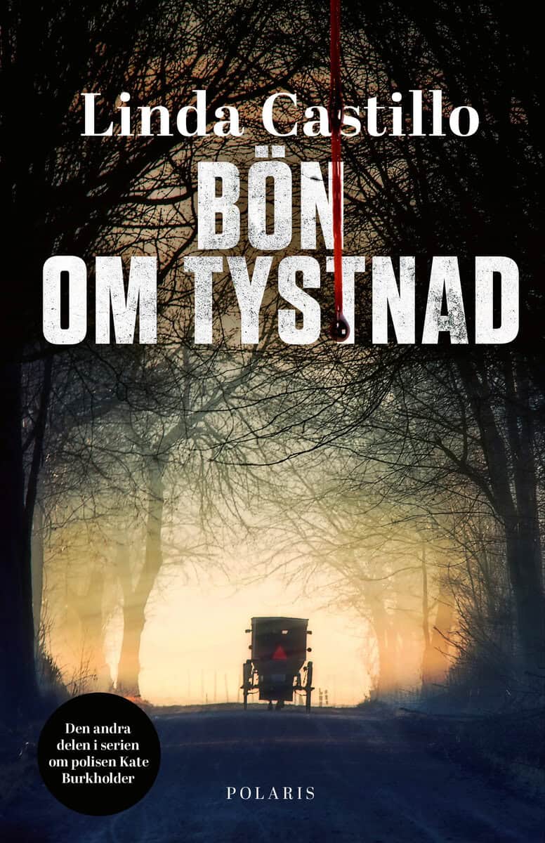 Linda Castillo : Bön om tystnad