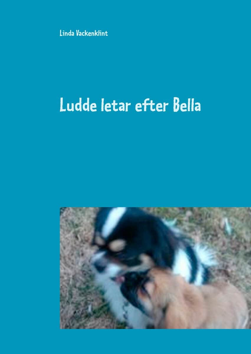 Linda Vackenklint : Ludde letar efter Bella